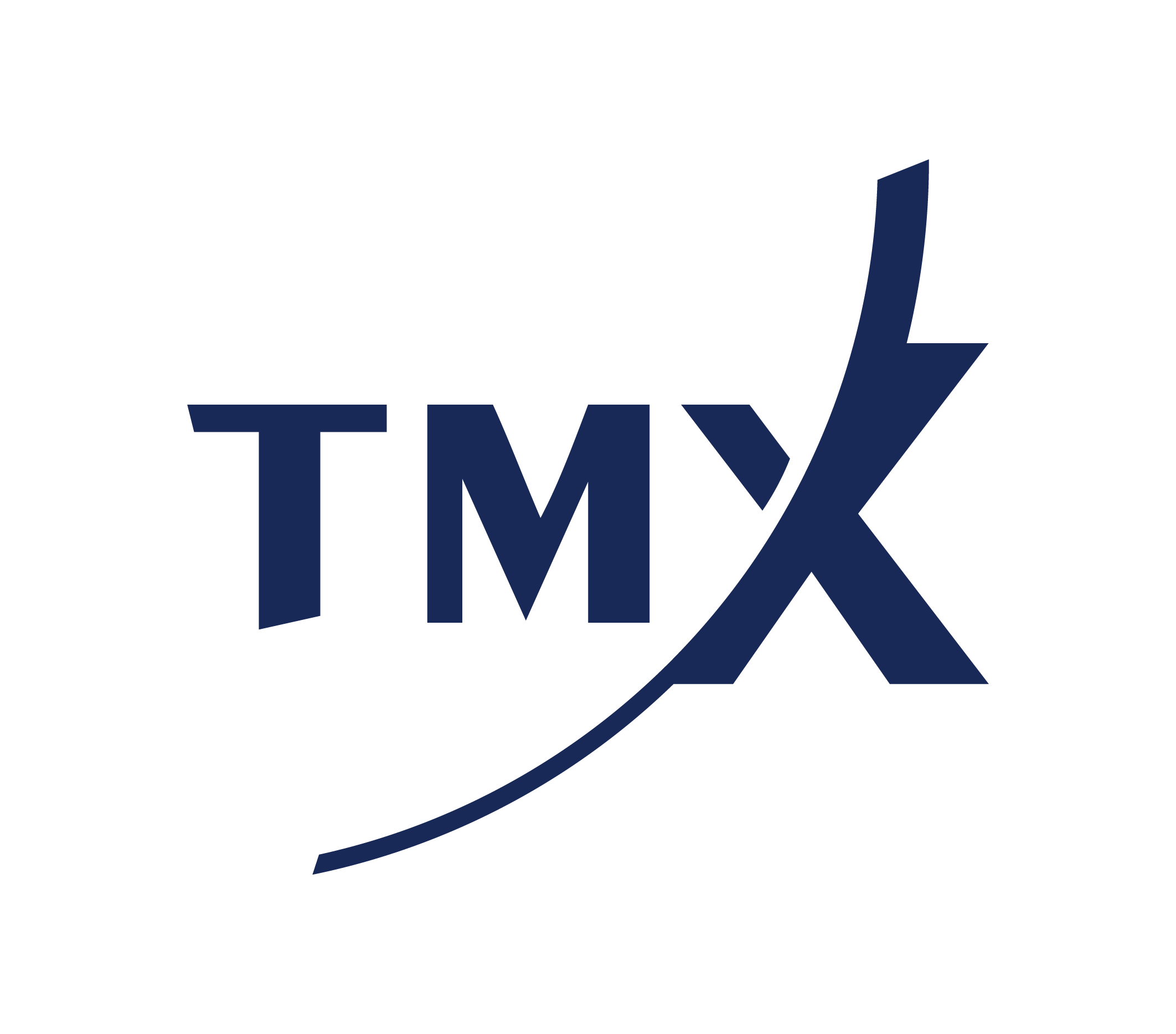 TMX logo